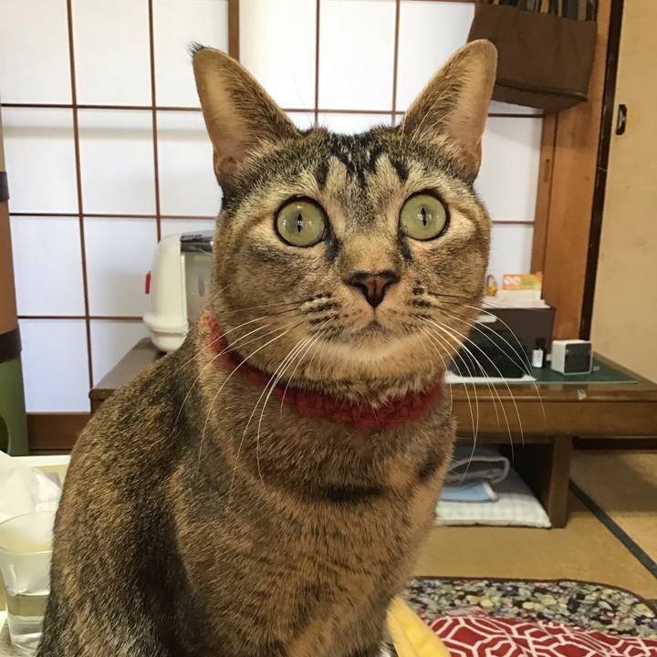 3ca8d659 4f38 40f5 a3b9 96daa7e7bef9 1640560955613