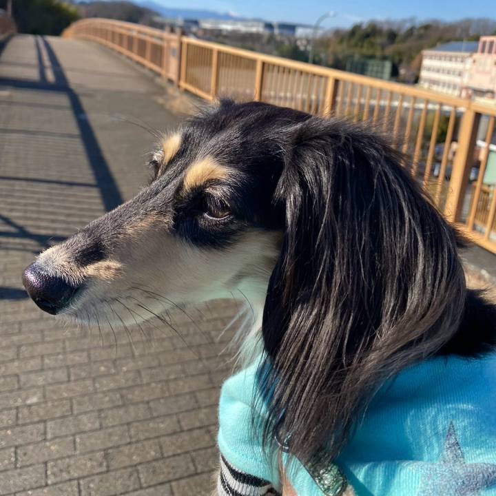 3ca8ff53 6516 4551 a05a 8e1306be9279 1767060693944