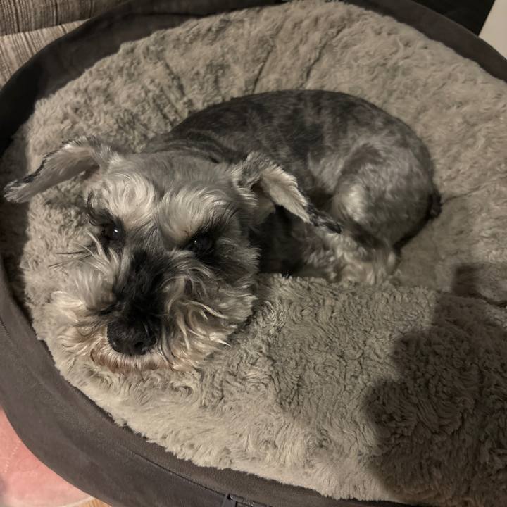 3ca90b40 a7ce 4f08 af68 2dba80f57418 1709202886750