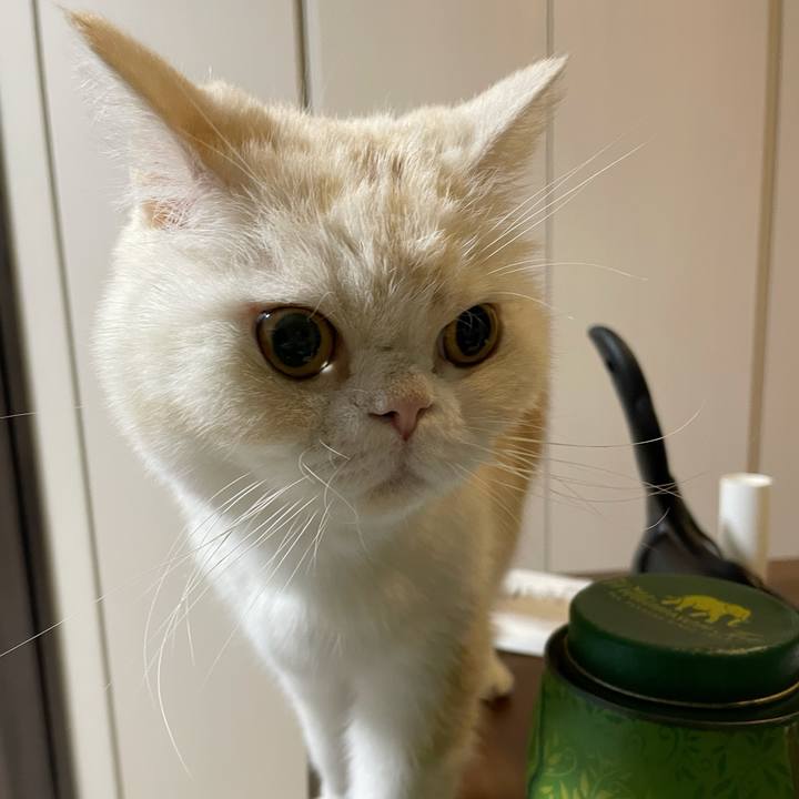 3ca9522b d185 44e8 a1f7 9ec2c8e96589 1763043563664