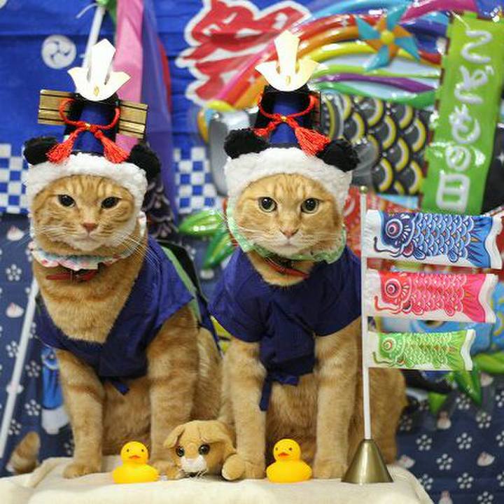 3ca96ae4 13f6 403e 9ea2 f5655b44dfc9 1524240136855