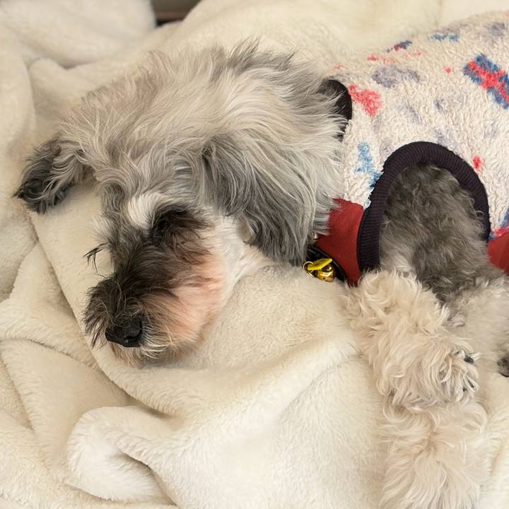 3ca96c72 03b2 4995 aea8 9cfecd2df37c 1769065460771