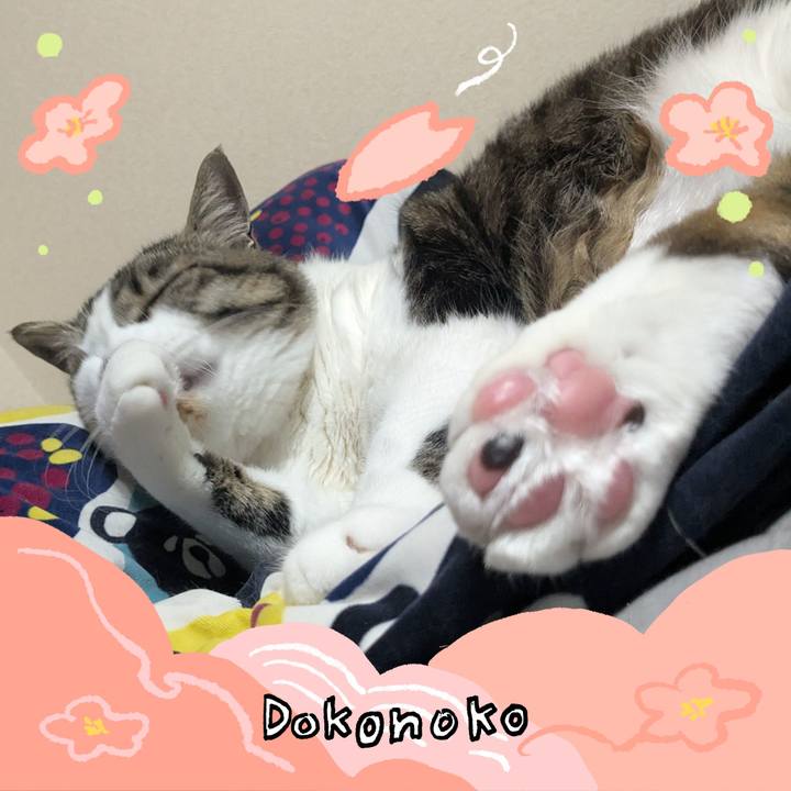 3ca976d3 6530 4926 ab80 ec46d4bf7e4d 1775872792583