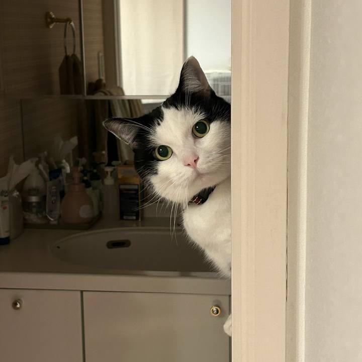 3ca99a15 f815 4ef5 a035 2f0ca7a9b72e 1764975773091