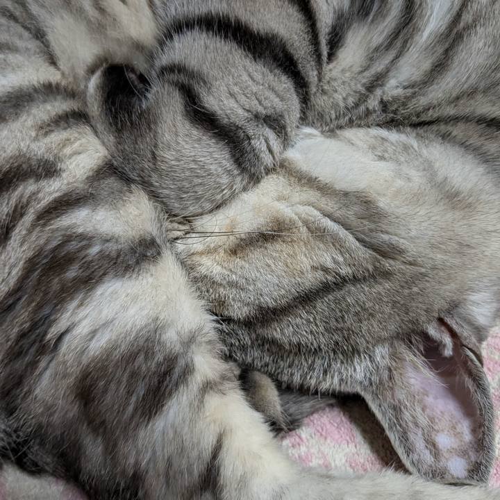 3ca9a6b8 b016 4f1e 88e9 4718bcaa25f0 1718985607509