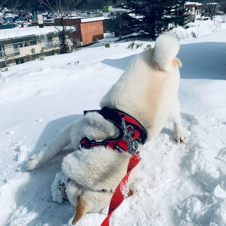 3ca9d653 15b6 4a71 b6d2 8c1b2d07fb01 1613977628003