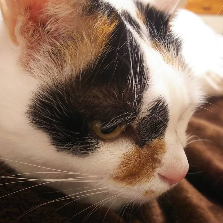 3ca9d8ab 40f7 4f25 bc5a 010e079ea791 1577023815319