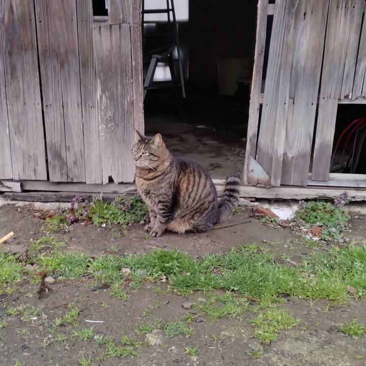 3ca9eac9 0e2c 43be 9a7e b4004588d148 1679791048636