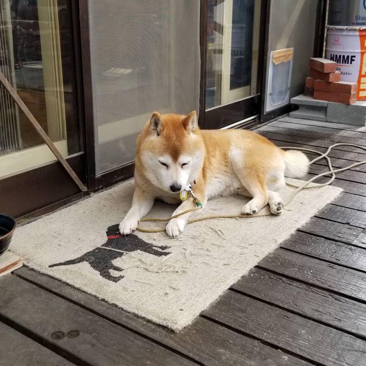 3caa29d4 379f 45d4 b476 9590524b2471 1650757177667