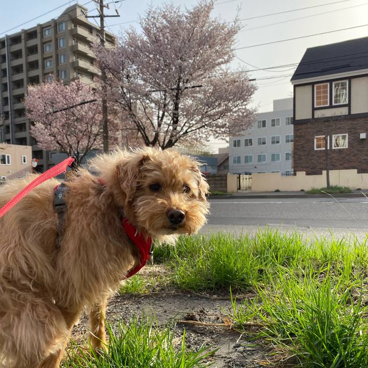 3caa4c26 f404 4f42 a58f 3b930f822b45 1682030849675