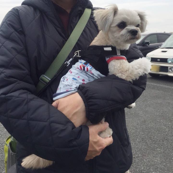 3caa81be c6a1 4990 9ab0 d9848641b9f6 1521634979203