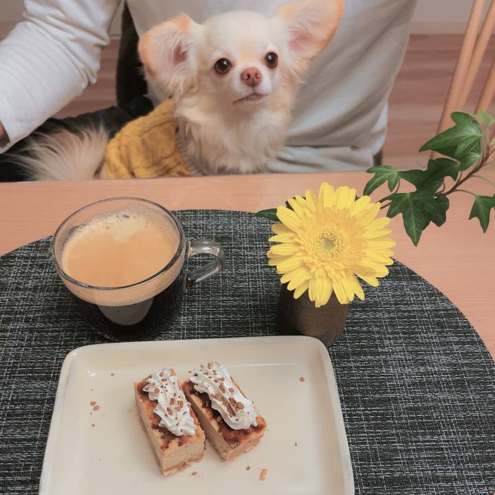 3caaaaf4 97b4 4f20 8c5f a199f9584733 1700903782090