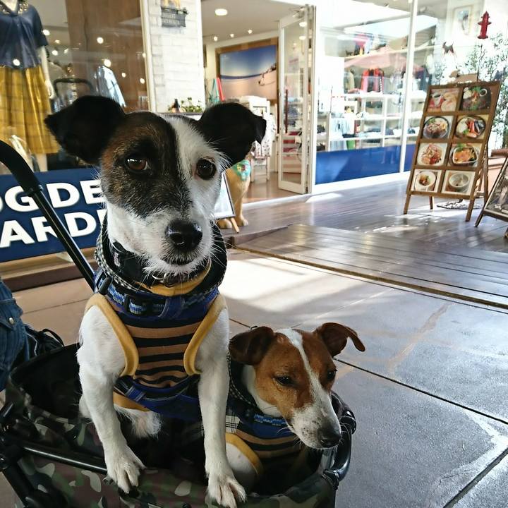 3caaacba 775b 4268 a0d9 063fb51ef955 1534575387945