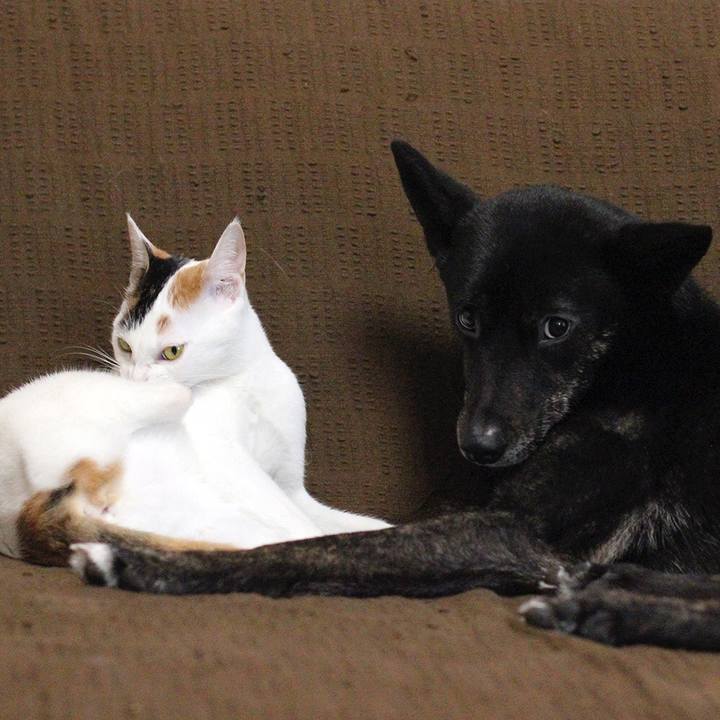 3caae5c6 1419 42f7 9bfa 292954639c66 1557877784456