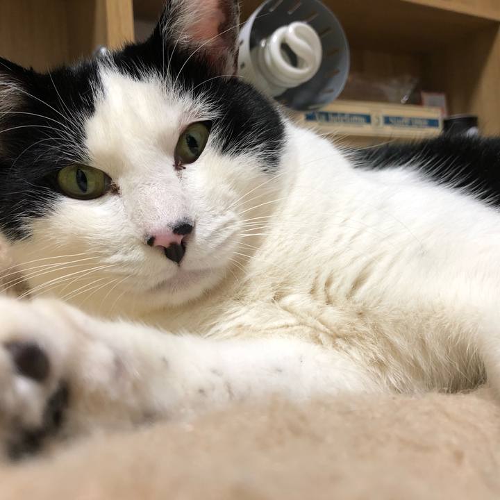 3cab0d24 6485 4a0f bf07 03d848d98dc0 1546219420044