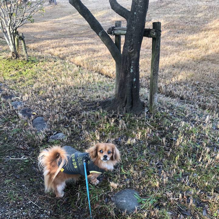 3cab527c 90bc 475a 99f3 b373a19be1b0 1544313536475