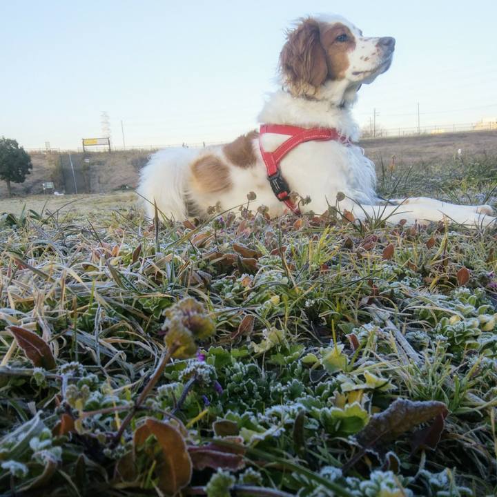 3cab8a2f d2d0 42d9 bf10 bac1de119eb7 1549074069641