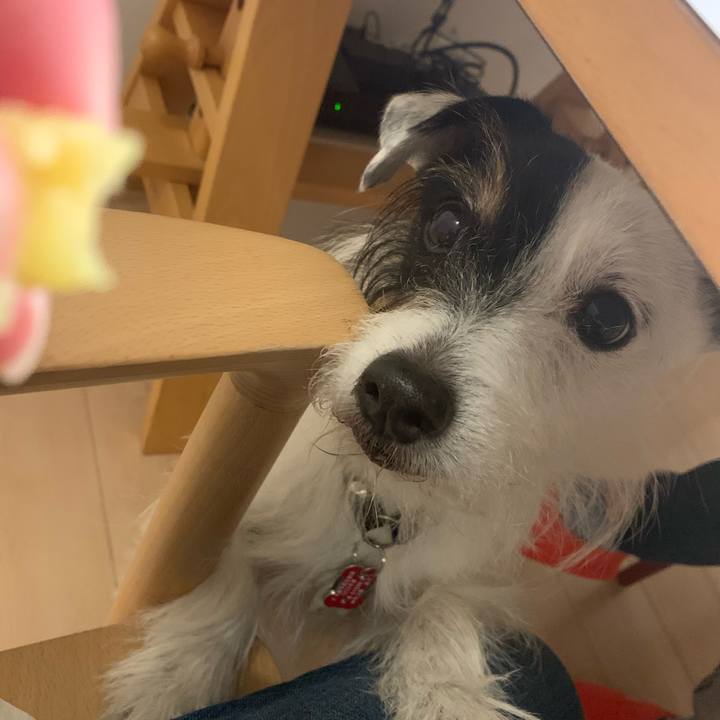 3cab9896 5e90 4b8b ada5 58dc10593cda 1701508651005