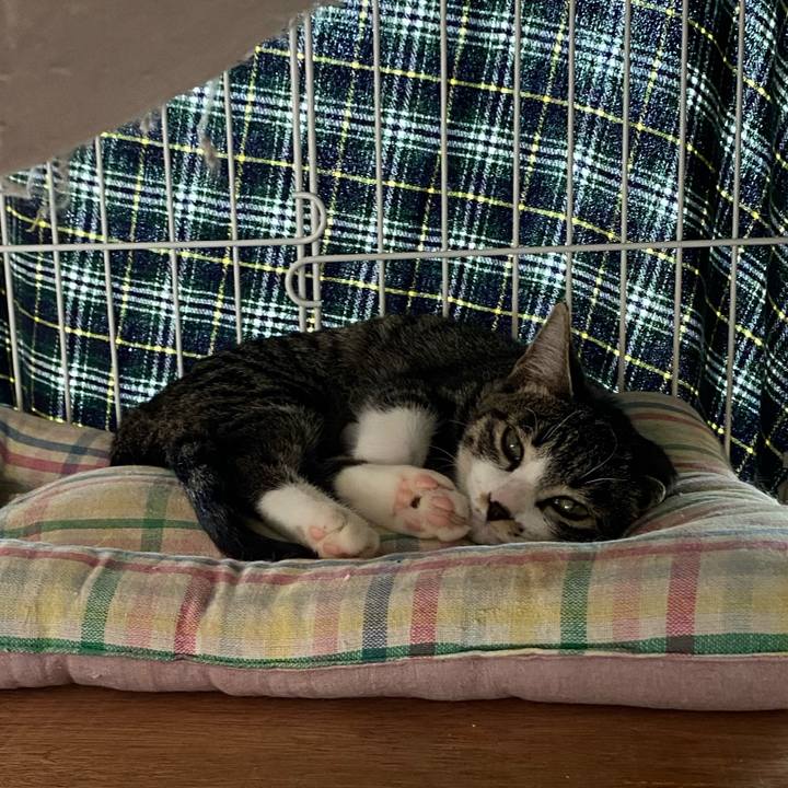 3cabb960 3db1 4aa2 aa59 ca7ddad05a14 1693890284479