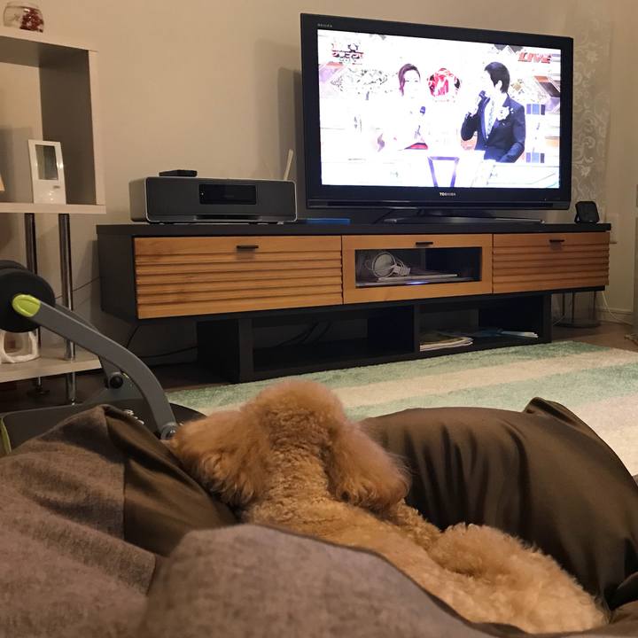 3cabe5f6 0984 4914 813a f352ba4dd26a 1512303203781