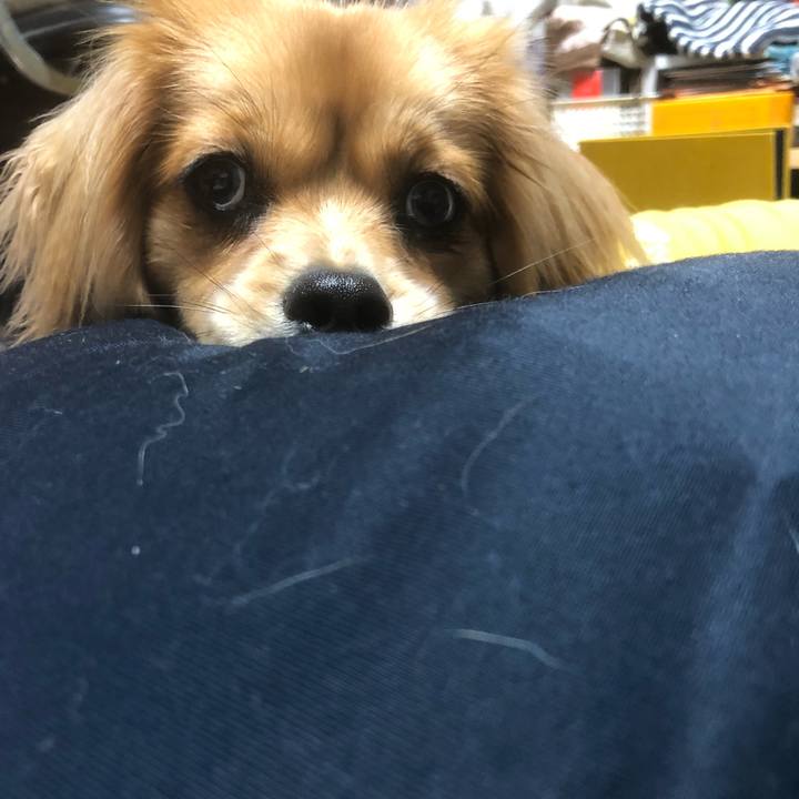 3cabfcbc 46f4 4707 85a5 3b826954d19f 1521636009036