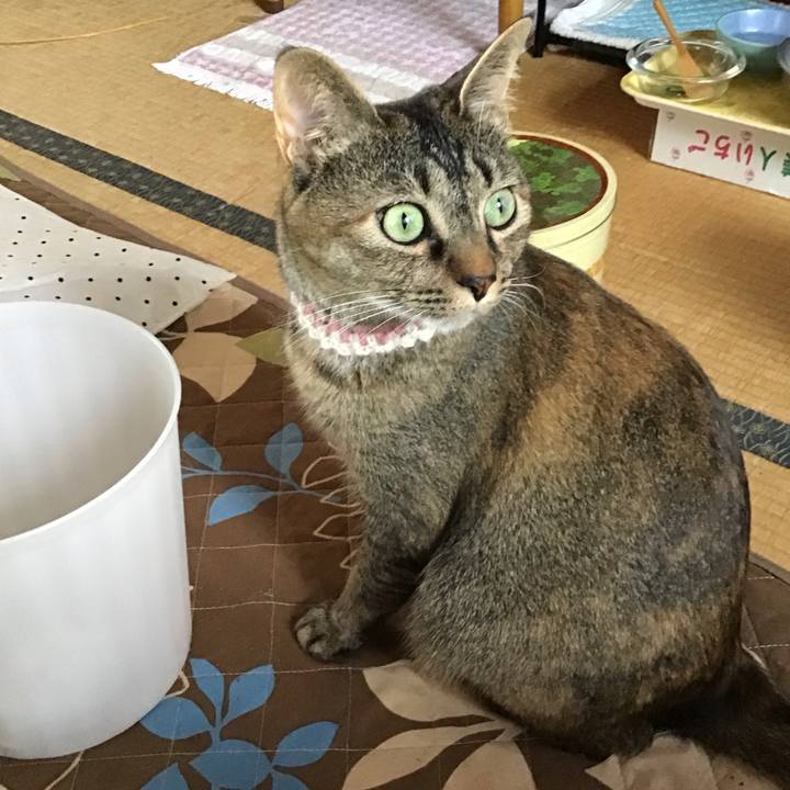 3cac0e94 b555 4dfc ba64 7dd1d45d157c 1653378670898