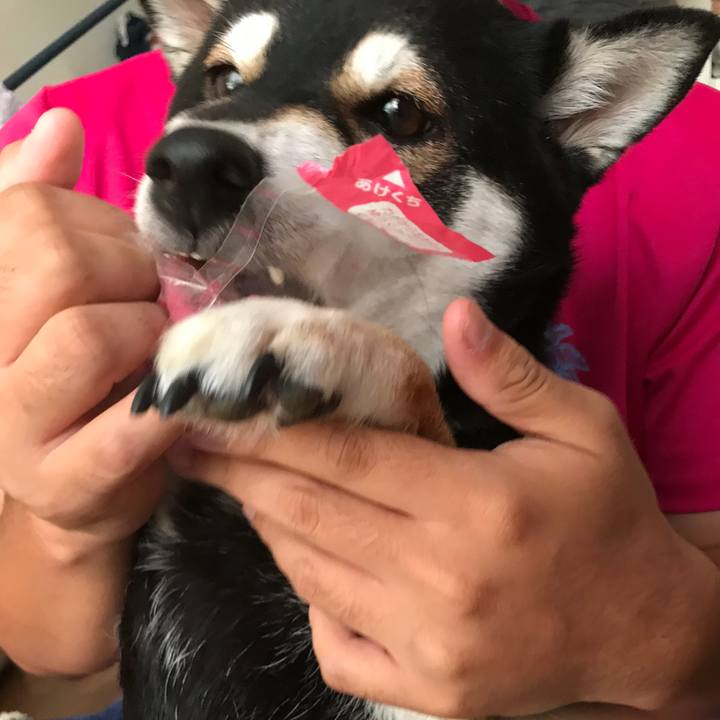 3cac1b05 444f 4d90 878f 20ec6f68a55a 1509679474826