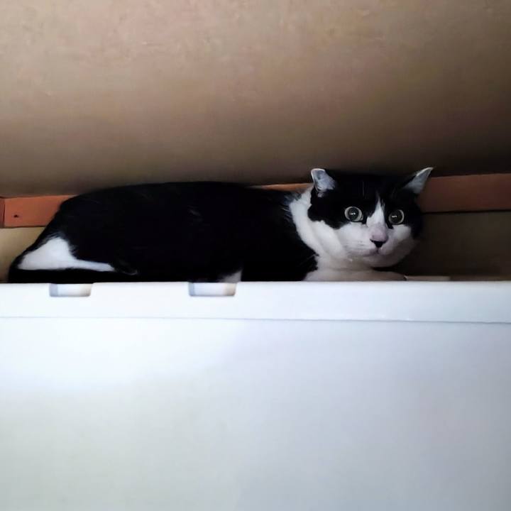 3cac65a9 ca2d 4ab0 b236 33efdc5fdc1e 1763376113743