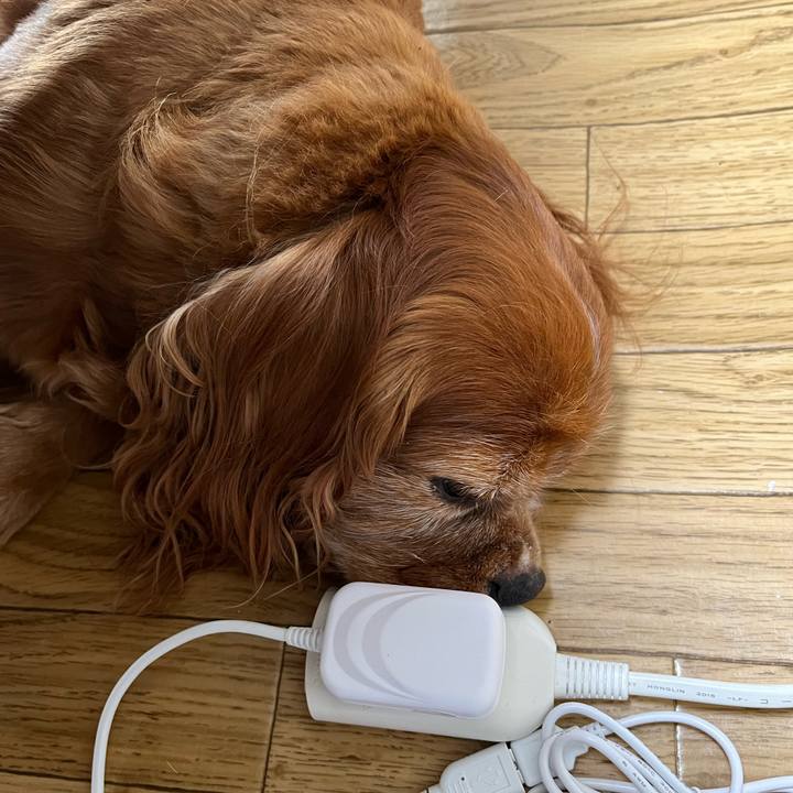 3cac76f3 7c45 4841 91e8 cd6af9041171 1722897592062