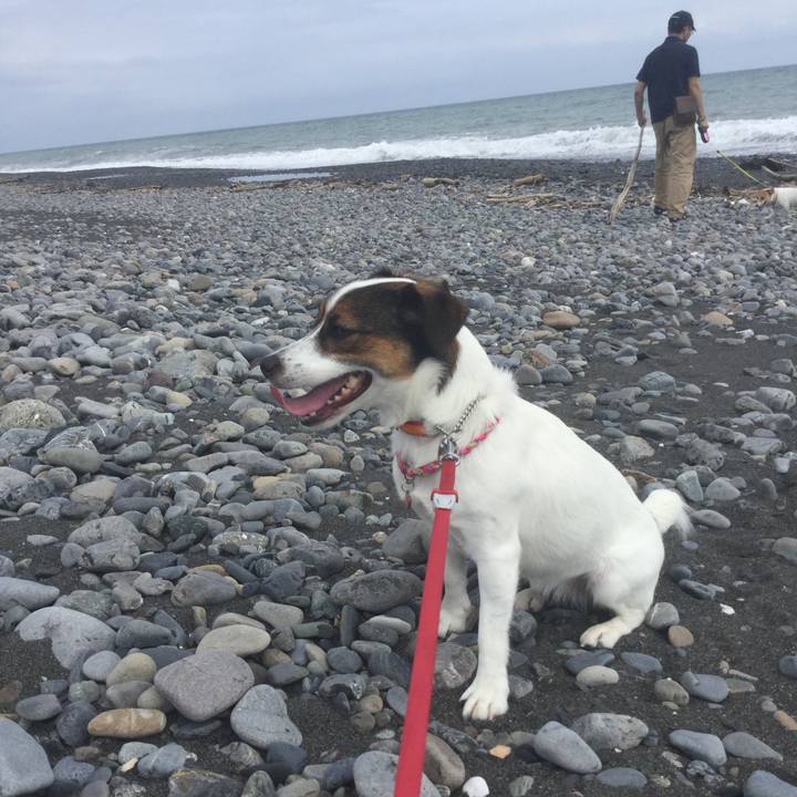 3cac8a7c 5ca7 4195 95d7 d9cca59a0f4c 1537595079284