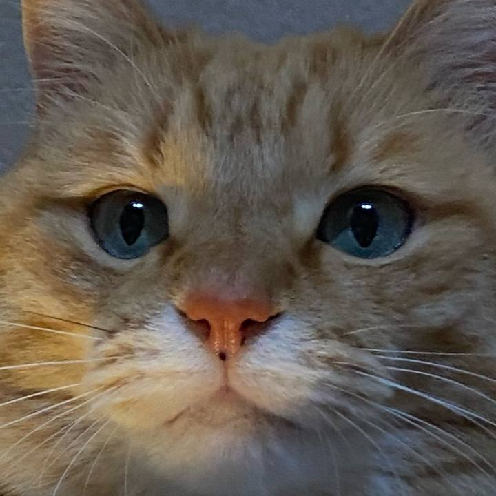 3cacb4ef 641f 4a21 b39b 4fd01aa927c4 1613216728849