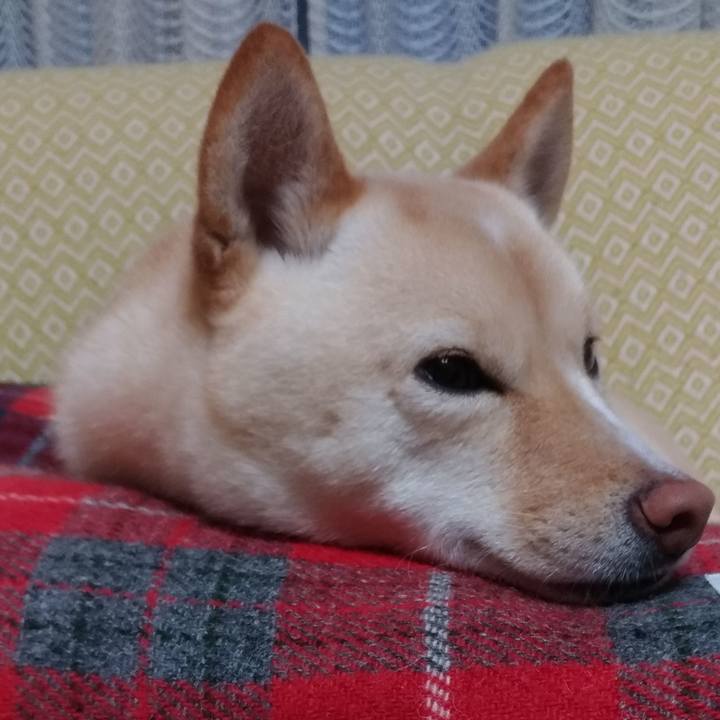 3cacc6ec 6d6e 4af4 8040 58afda12ed4b 1549354279647