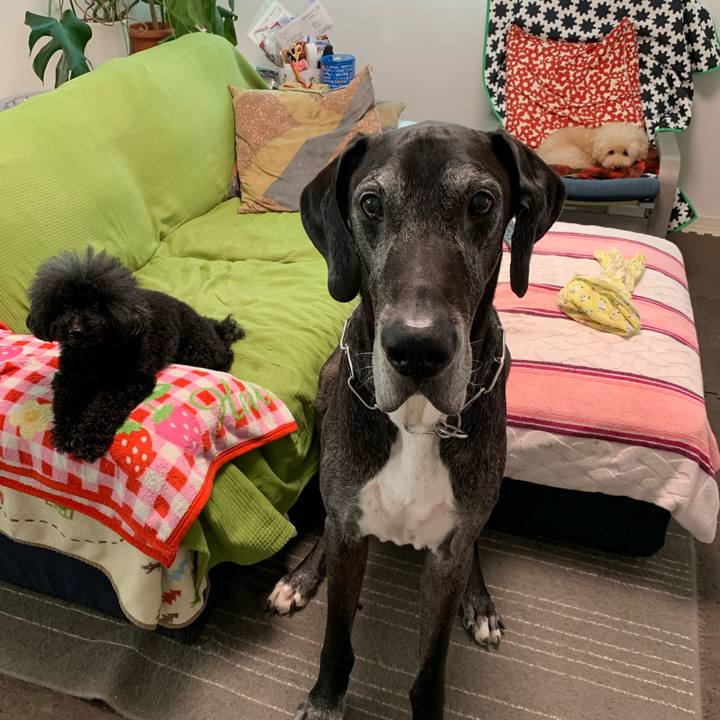 3cacc84e a983 4817 8319 e1b0d1109bce 1598394589489