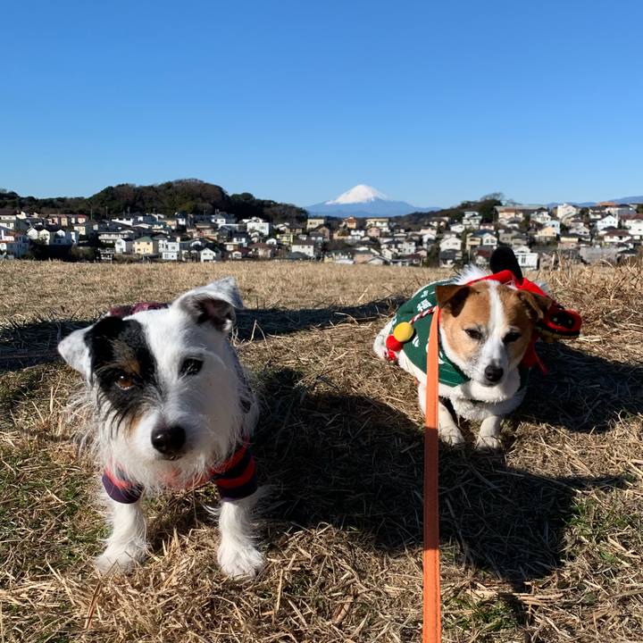 3cacd82c 7fee 4e08 bd1c 3e3d1b2d3f0c 1641000739708