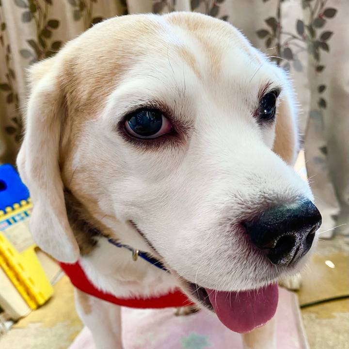 3cacdbbb d4fc 4c1b b29b 6d45bb1e1650 1613967609343