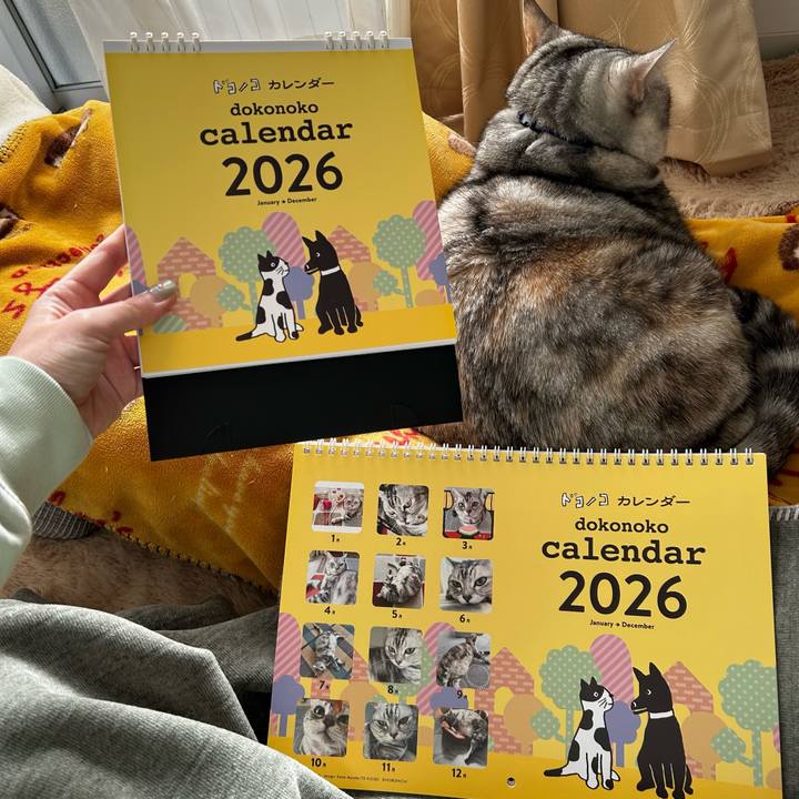 3cace3c0 80c6 466f 918d 80d283c891c8 1765674239313