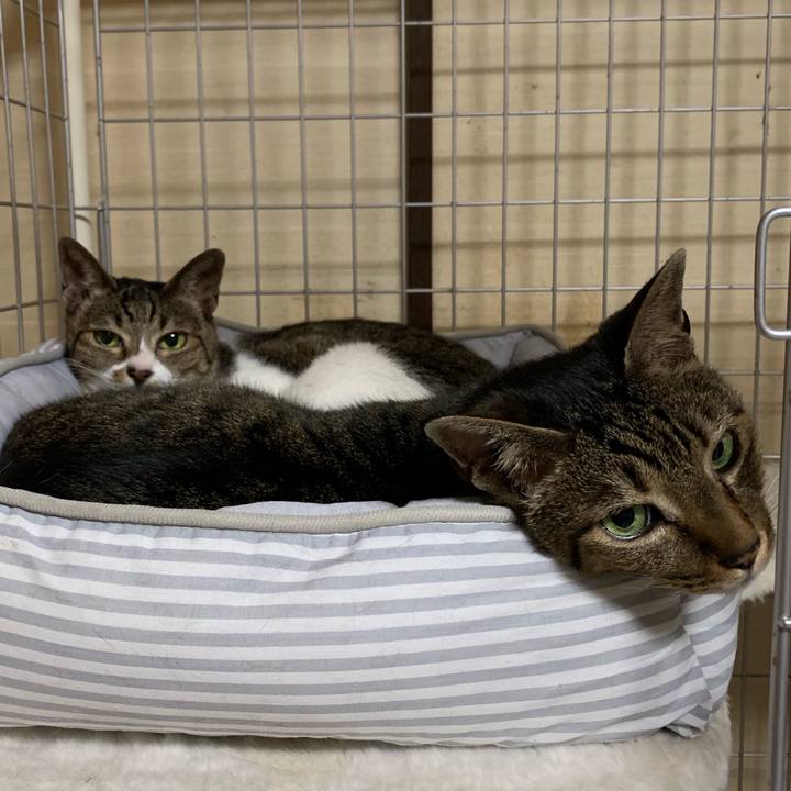 3cad2aaa 7cae 42ef 8319 1780e6860e31 1561507867009