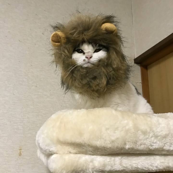 3cad535c 3d02 4f69 af0d d2bb28af7be4 1577023357027