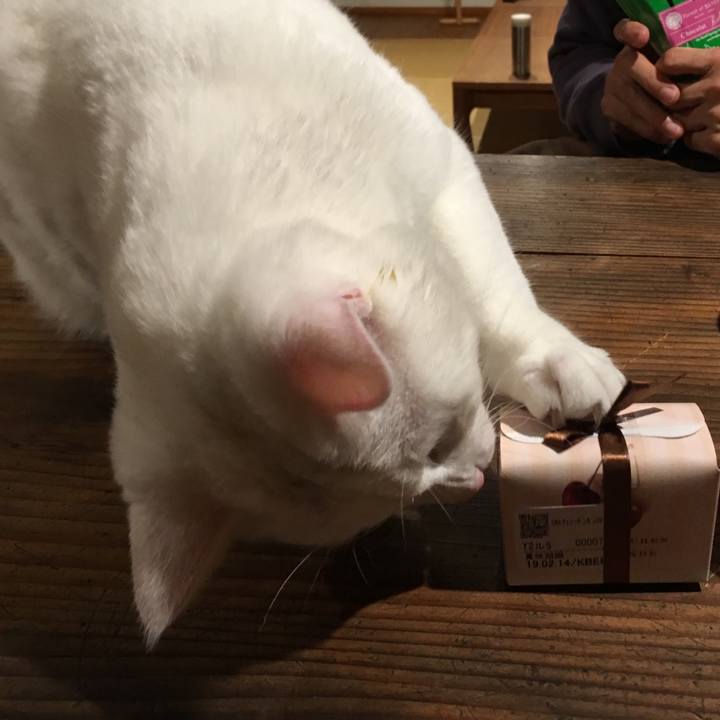 3cad615b 07d3 4634 b8d2 6ff77594616c 1550147869544