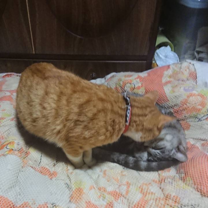 3cadb12b 5633 4a1a 8d73 65eb56c38539 1572265798506