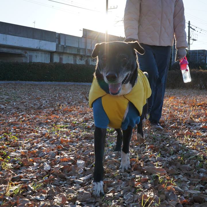 3cadb2a1 199a 4863 ad02 de2855c4c55f 1765498359353