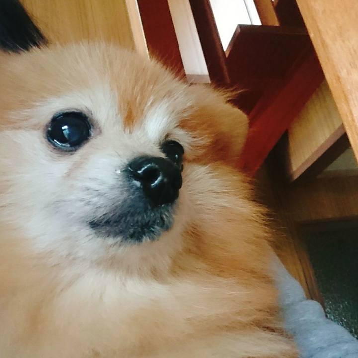 3caddb13 fc1e 4b3b b3d1 fbfda5d0da1a 1552521231369