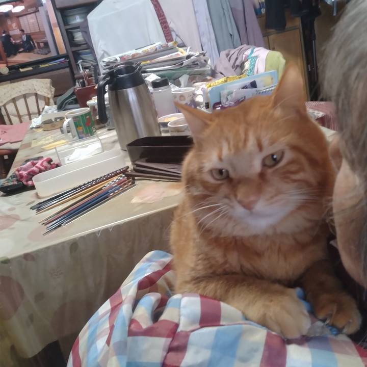 3cade848 15d2 4055 85f9 834387e78759 1708753665943