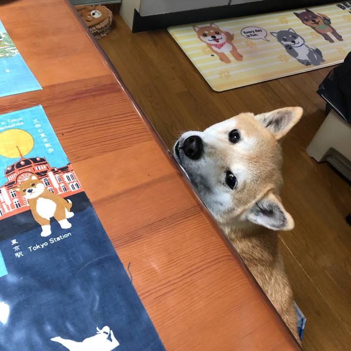 3cadfa23 1a02 43d9 bcc0 c0e752c04889 1579925841536