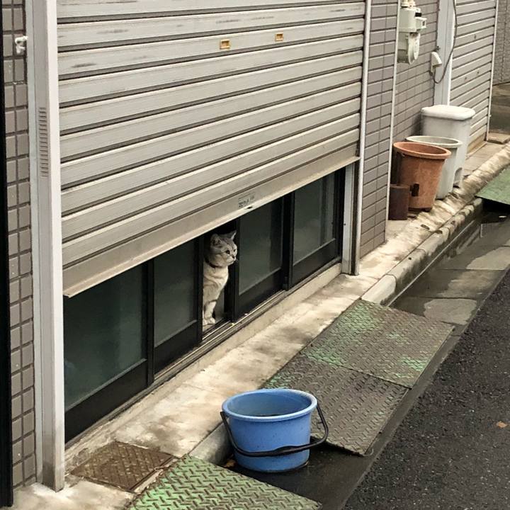 3cae0096 52bf 47b8 a1ff 897ed1728371 1520610791969