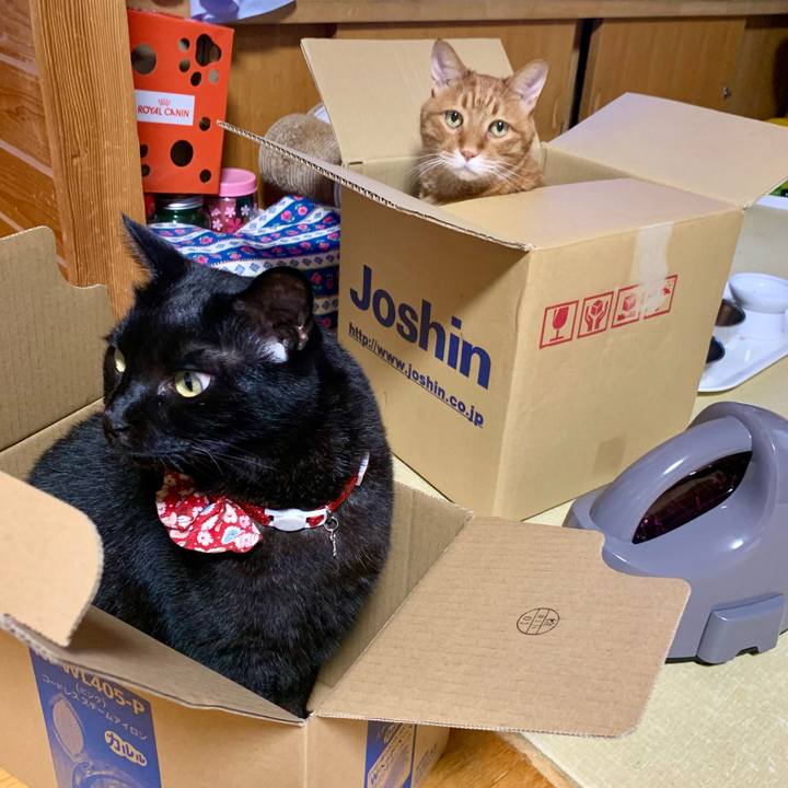 3cae1a62 dba1 4dd2 b159 08411af7eb9d 1625997463042