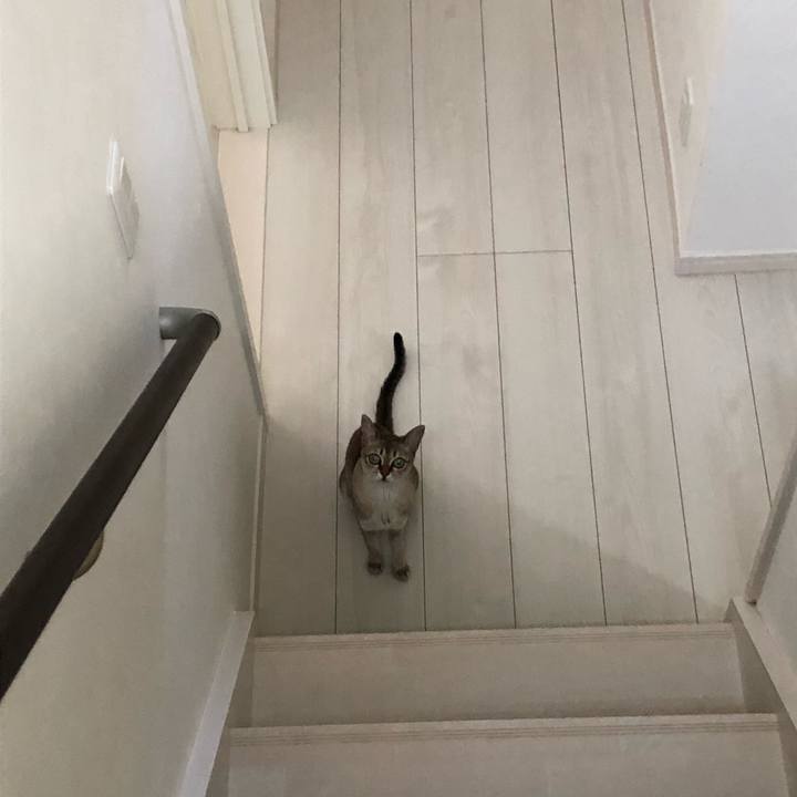 3cae2ae7 1568 4a5e bf96 04fac3ac3e43 1534373088002