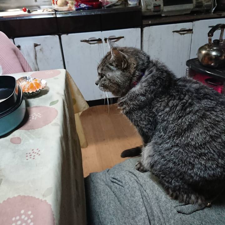 3cae3611 3bec 44d3 8a1e 735f6ace3496 1579125219422