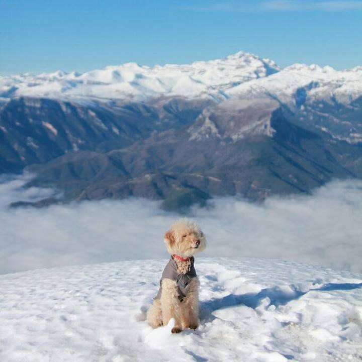 3cae4067 b72f 42eb b528 7e6035111b00 1578924758191