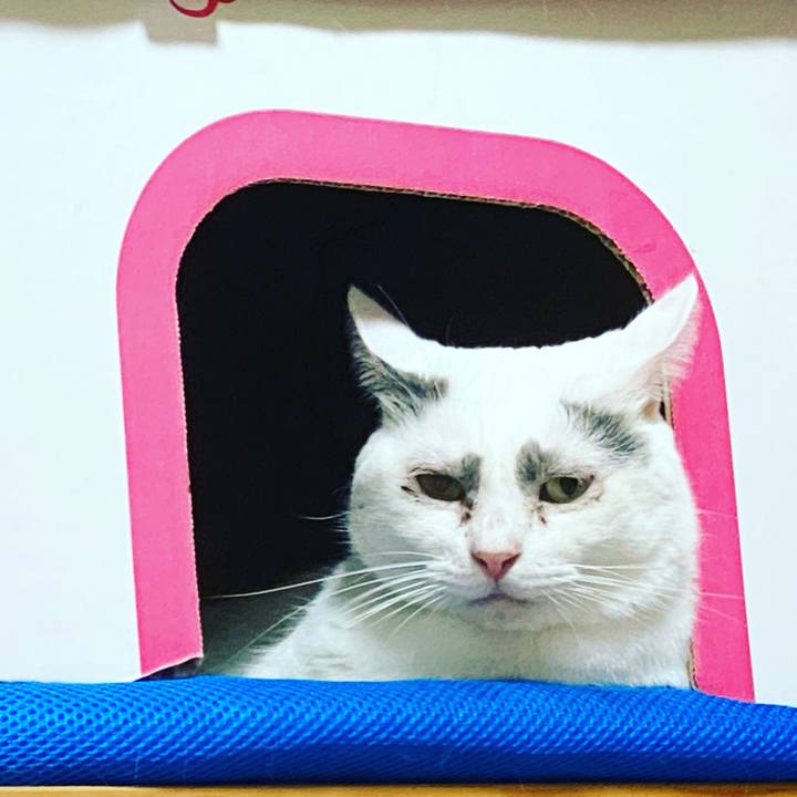 3cae4d8e 9008 49a9 8416 f2c7c78d9539 1642268651039